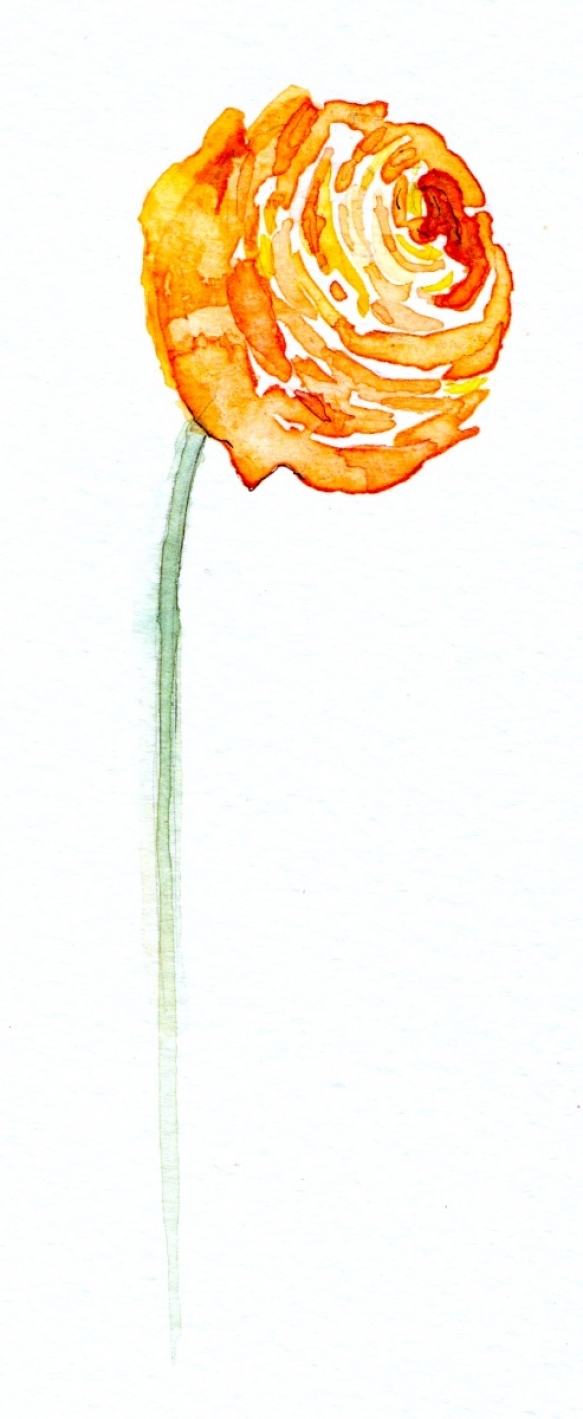 Wedding Flowers Cornwall 6